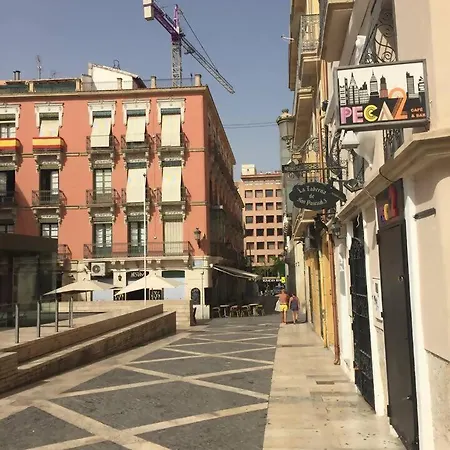 Lolf Urban Casual Alicante